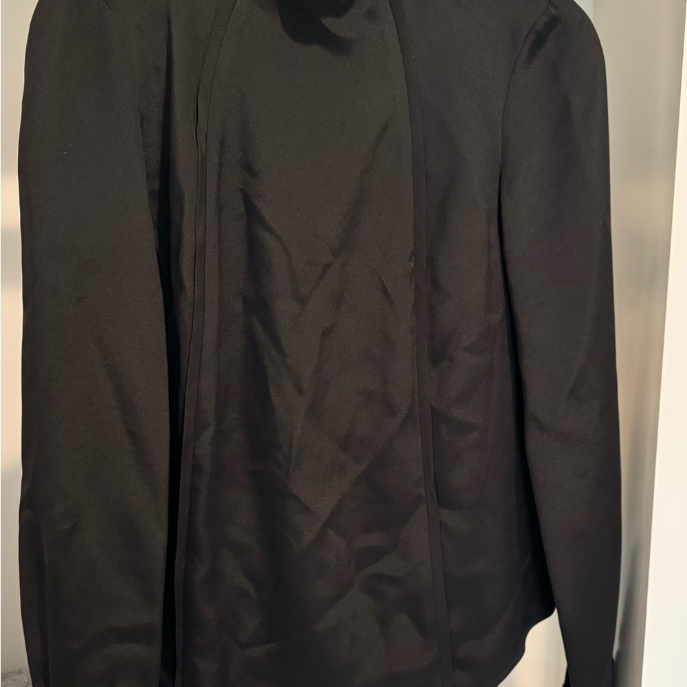 Rachel Comey Black Silk Blouse with all the Details!